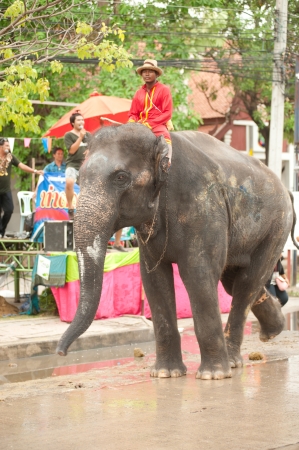  Elephant dancing in Songkran festival のeditorial素材