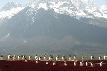 LIJIANG,CHINA-MARCH 16   Actors participate Impression Lijiang live performance on March 16,2014,at Yunnan Lijiang Ganhaizi Blue Moon theater in Lijiang, Yunnan Province at Southwestern of China のeditorial素材