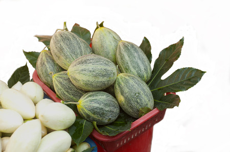  Mixed fruit の写真素材