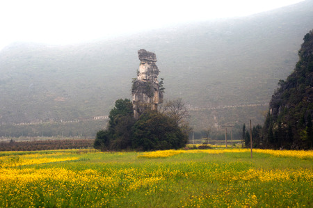 Mountains and pasture in Wanfenglin,Xingyi city,Guizhou province,Southwestern of China 