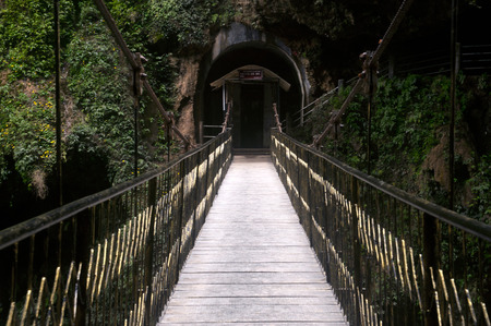 Hanging bridge  の写真素材