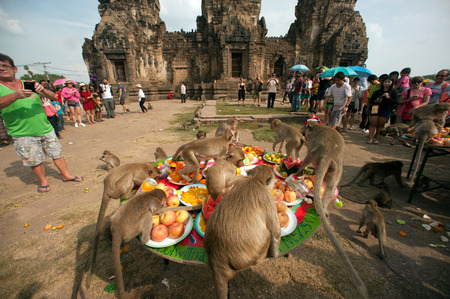 Thailand Monkey Party (Thailand Monkey Buffet ).のeditorial素材