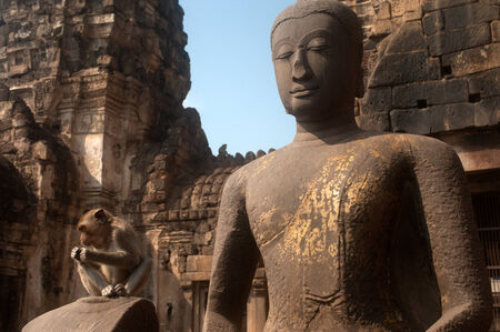 Monkey sitting on outdoor ancient Buddha in temple.の写真素材