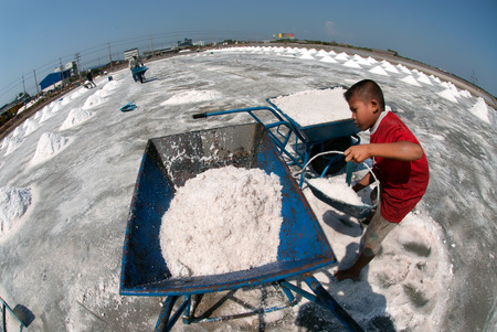 Workers are working at a salt farm in Thailand.のeditorial素材