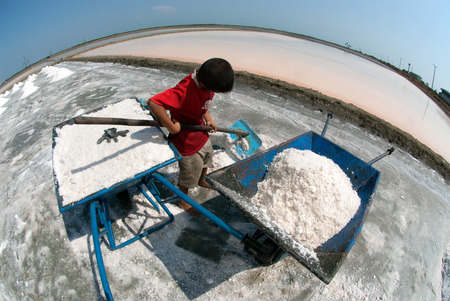 Workers are working at a salt farm in Thailand.のeditorial素材
