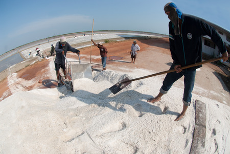 Workers are working at a salt farm in Thailand.のeditorial素材