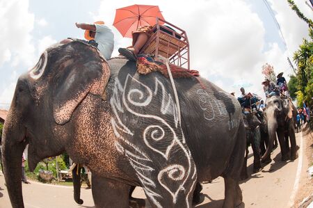 Ordination parade on elephant\'s back Festival.のeditorial素材