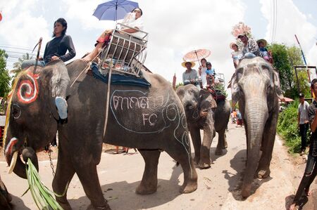 Ordination parade on elephant\'s back Festival.のeditorial素材