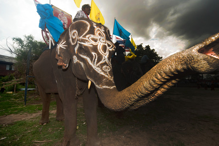 Ordination parade on elephant\'s back Festival.のeditorial素材