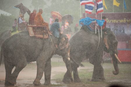 Ordination parade on elephant\'s back Festival.のeditorial素材