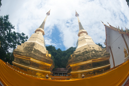 Golden Pagoda of Wat Phra That Doi Tung temple in Thailand.の写真素材