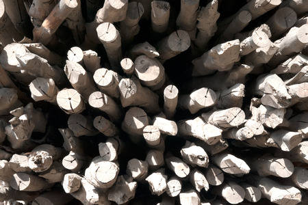 Pile of wood logs Background.