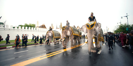 Eleven Elephants to look like white prostrate ,ascribe unto lamented. His Majesty the late King Bhumibol Adulyadej at the front of the Royal Palace in Bangkok,Thailand.のeditorial素材