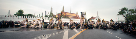 Eleven Elephants to look like white prostrate ,ascribe unto lamented. His Majesty the late King...