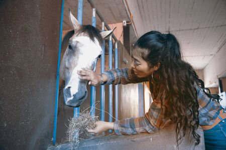 Pretty Asian woman petting horse in a stable.の写真素材