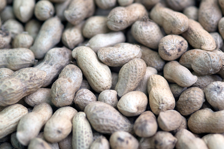 Peanuts seeds background.
