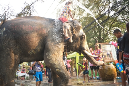 AYUTTHAYA,THAILAND- APRIL13 , 2016 : Elephant playfully splashing water with boy and people fun and happiness in Songkran Festival or Water Festival at Ayutthaya Historical Park in Middle of Thailand.のeditorial素材