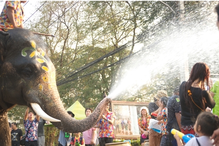 AYUTTHAYA ,THAILAND - APRIL 13 , 2016 : Mahout and his elephant playfully splashing water fun and happiness in Songkran Festival or Water Festival at Ayutthaya Historical Park in Thailand.のeditorial素材