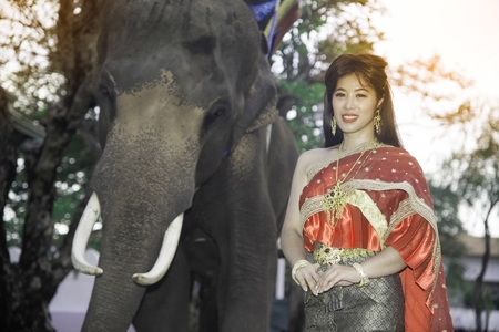The pretty Thai lady in Middle Thai classical traditional dress suit standing is posing on elephant background.の写真素材