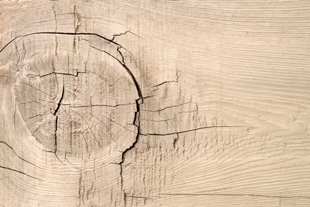 Wood eye of timber vintage old wood texture and background surface.の写真素材