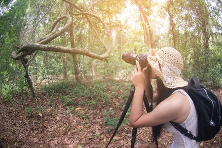 Portrait of pretty Asian woman take a photo on happiness in the forest.の写真素材