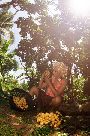 The senior Asian woman is cutting and choosing the sweet longkong from the trees in the garden.の写真素材