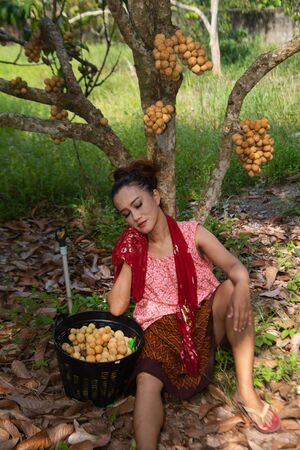 The senior Asian woman pose is sitting relaxation under longkong tree in the garden with happiness.の写真素材
