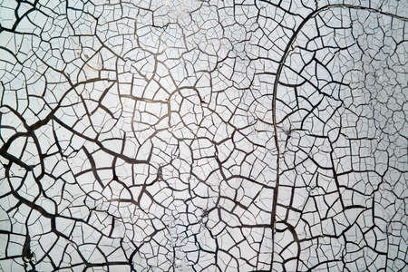 The surface is close to colour and cracks in white background.の写真素材
