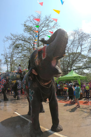Ayutthaya, Thailand - April 14, 2019: Young elephant splashing with water fun. Young elephants have fun and joy at Songkran Festival (Water Festival) at Ayutthaya Historical Park in Ayutthaya City, Thのeditorial素材