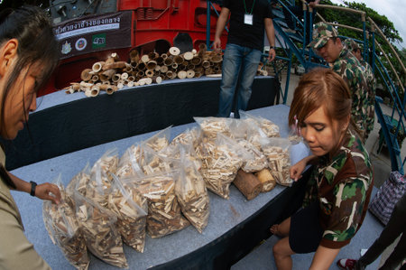 BANGKOK ,THAILAND-AUGUST 26 , 2015 : Government officials An unknown man is destroying the seized ivory. From illegal ivory traders in Thailand This policy is set by the United Nation Organization.のeditorial素材