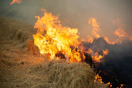 Burning fire and smoke in fields, open fields, where farmers burn for Destroys grass and dry paddy...