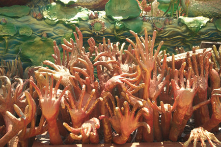 Hands of the gods in the temple of Nakhon Ratchasima, Thailandの写真素材