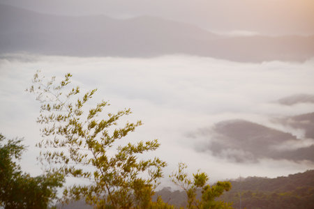 Doi Samer Dao, Sri Nan National Park It is a beautiful natural tourist attraction. You can admire...