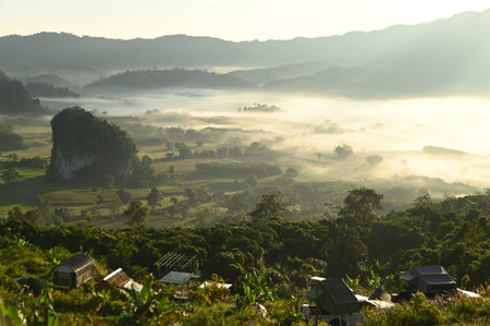 Phu Langka Forest Park is a series of mountain ranges. There are mountains with unusual and unique...