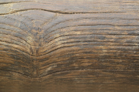 Texture or background of light colored natural wood texture, The surface of the tree trunk is thick with bark cracks. Wall of building.の写真素材