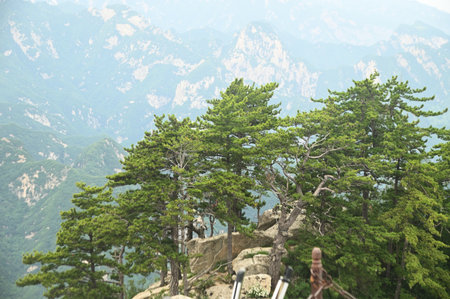 Mount Huashan is one of the most famous tourist attractions in China and one of the must-do activities is rock climbing and hiking. It is a sacred mountain, home to many deities.の写真素材