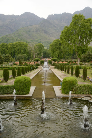 Nishat  garden Bagh is a popular tourist attraction, Nishat Bagh is a 12-tiered terraced garden located near the famous Dal Lake in Srinagar.の写真素材