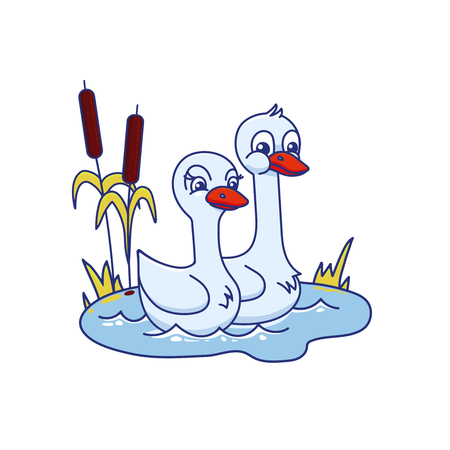 Couple of swans in the pond. Colored vector illustration in cartoon style.のイラスト素材
