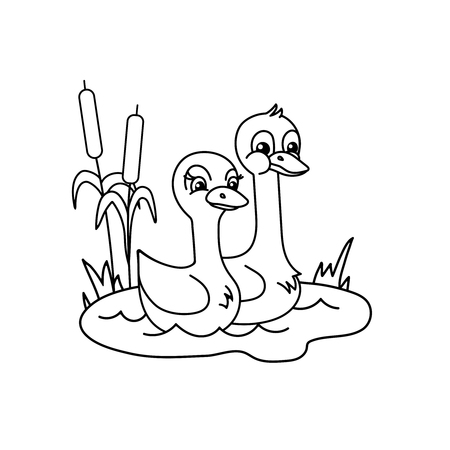 Couple of swans in the pond. Line art for coloring books.のイラスト素材