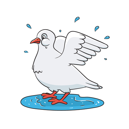 Dove splashing in the water. Spring theme. Vector colored illustration for print, greeting cards.のイラスト素材
