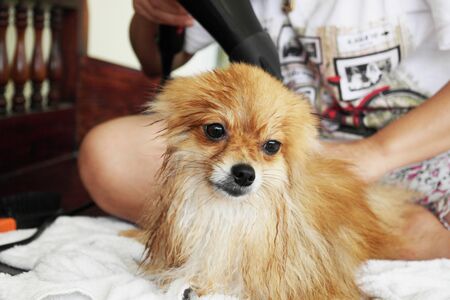 After taking a showerの写真素材