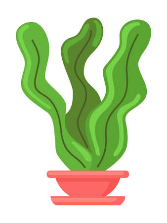 Pot with houseplant isolated at white background. Vector illustration of decorative green plant with long leaves in ceramic pot. Indoor plant concept, domestic greenery.のイラスト素材