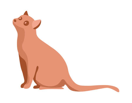 Little kitten sit calmly and wait for owner. Ruddy pet isolated on white background. Indoor cute kitty posing alone. Friendly cat closeup picture. Vector illustration of domestic animal in flat styleのイラスト素材