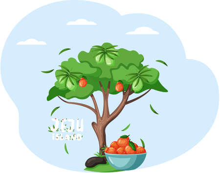 Large deciduous tree with mandarin, tangerine, traditional fruit, citrus. Jeju island in South Koreaのイラスト素材