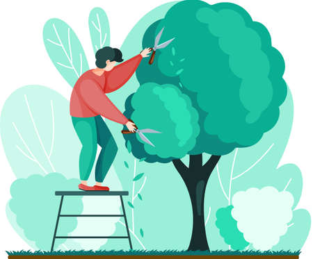 Man shears plants with scissors stands on stairs. Professional garden worker working with tree in...
