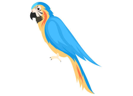 Tropical parrot yellow-blue Macaw sits isolated on white. Exotic beautiful poll-parrot. Bird lives in jungle and warm countries. Feathered with bright plumage, representative of wildlife, zoologyのイラスト素材