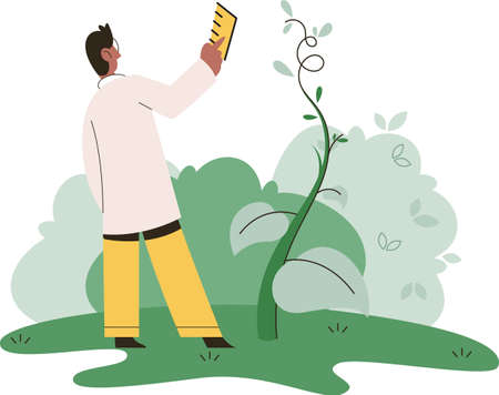 Scientist explores vegetable life and plants in nature. Biologists in forest studying biological species and environment. Explorer conducts experiments takes care of ecology and endangered green herbのイラスト素材