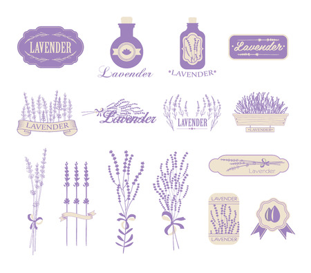 Vintage lavender background, aromatherapy and spa packaging designのイラスト素材