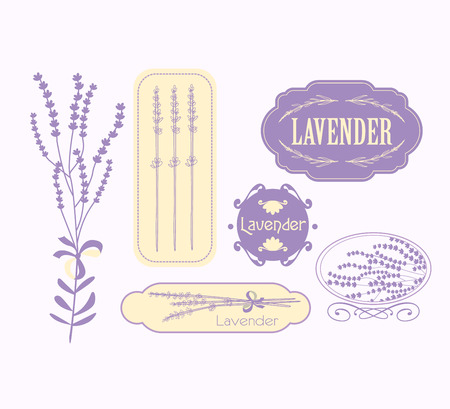 Vintage lavender background, aromatherapy and spa packaging  vector designのイラスト素材