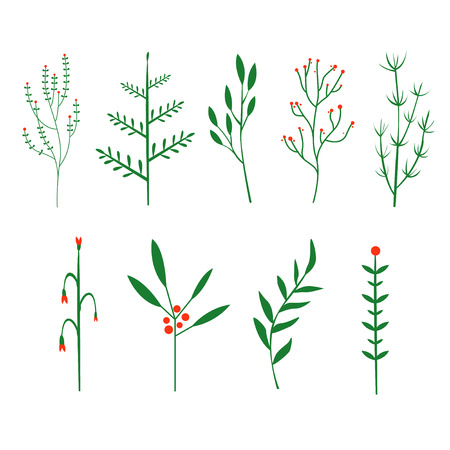 Decorative twigs, brush plants. Vector romantic style for design wedding invitations and patternsのイラスト素材